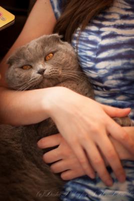 Прикрепленное изображение: IMG_9291.jpg